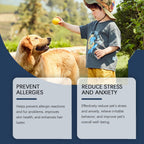 Food Supplement For Dogs, Immune-Boosting Healthy Dietary Supplement For Dogs